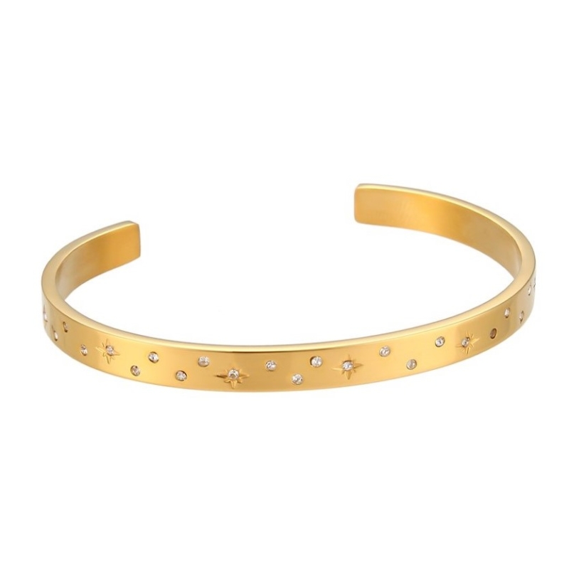 Bracelet rigide Naomi Or en acier inoxydable avec placage or 18k et zirconias blancs